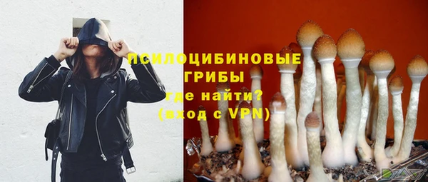 спиды Вязьма
