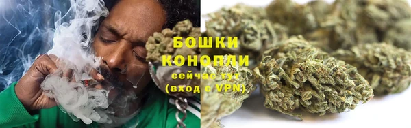 амф Горняк
