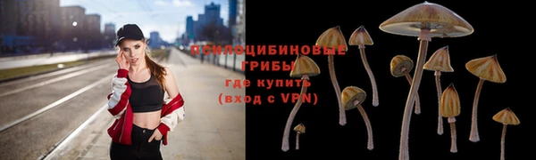 спиды Вязьма