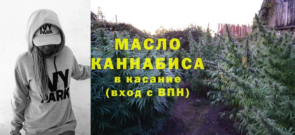 PSILOCYBIN Вяземский