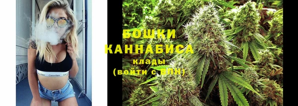 PSILOCYBIN Вяземский