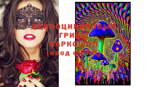 PSILOCYBIN Вяземский