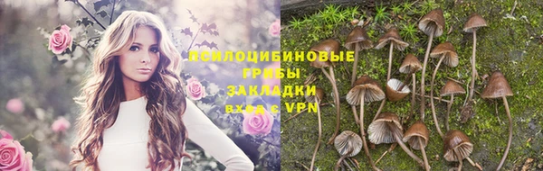 PSILOCYBIN Вяземский