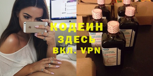 амф Горняк