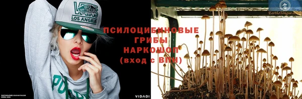 амф Горняк