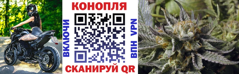 Каннабис семена  Жуков 